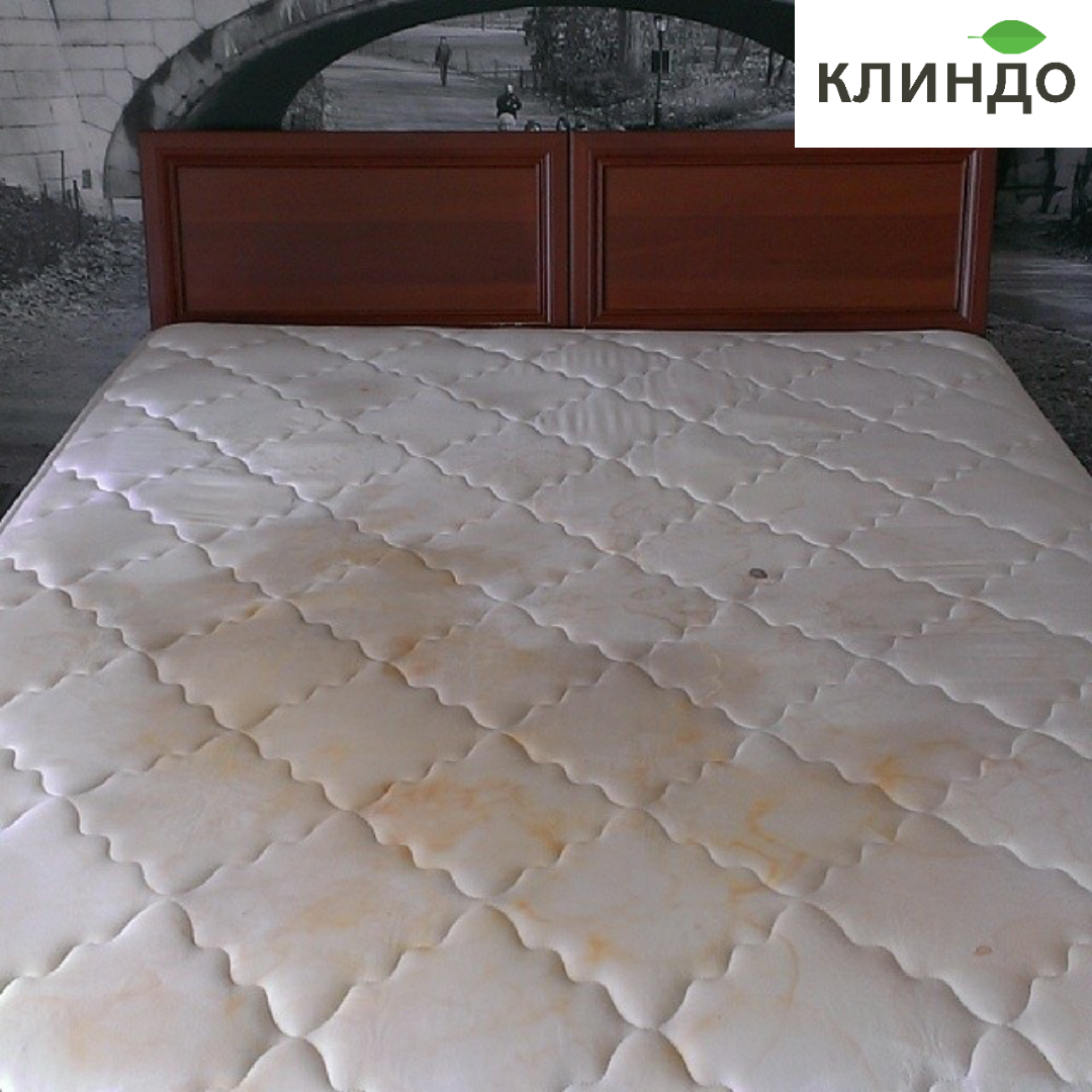 ИННОВАКЛИН: до